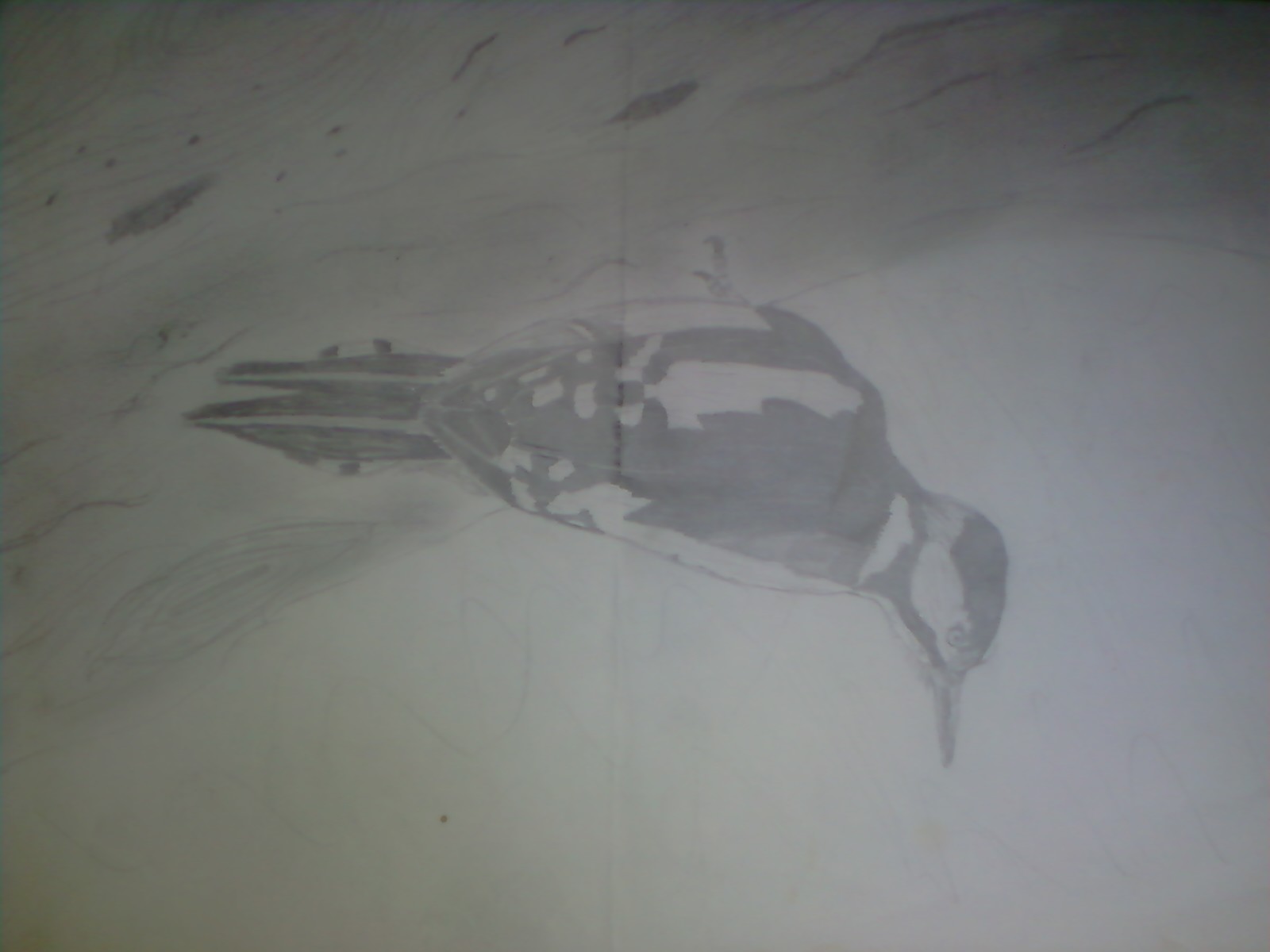 P22-09-10_17.13.jpg