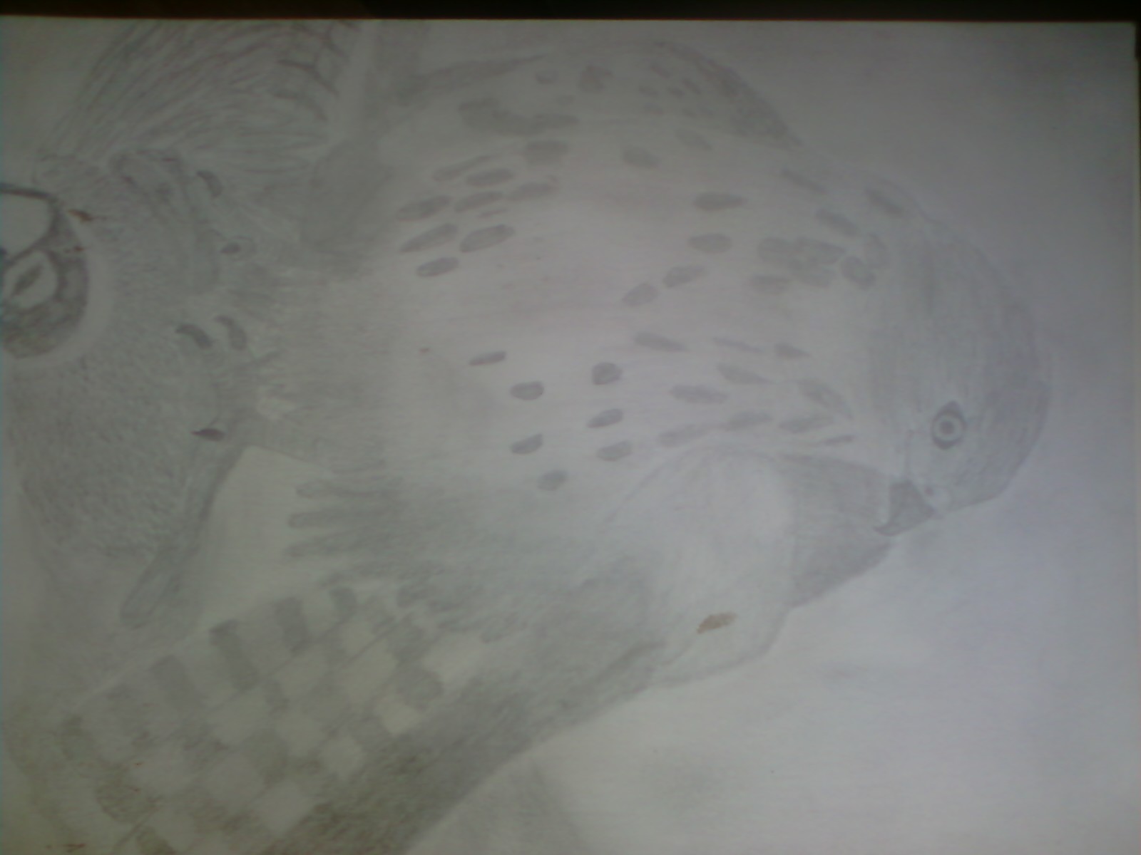 P22-09-10_17.14.jpg